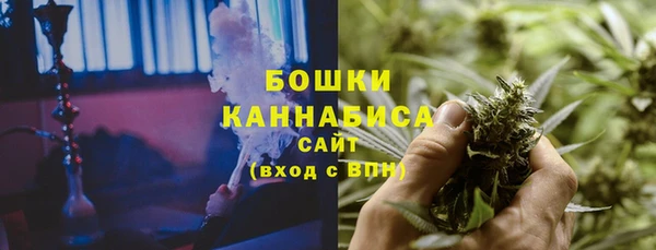 сатива Арсеньев