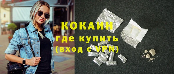 сатива Арсеньев