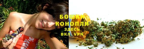 сатива Арсеньев